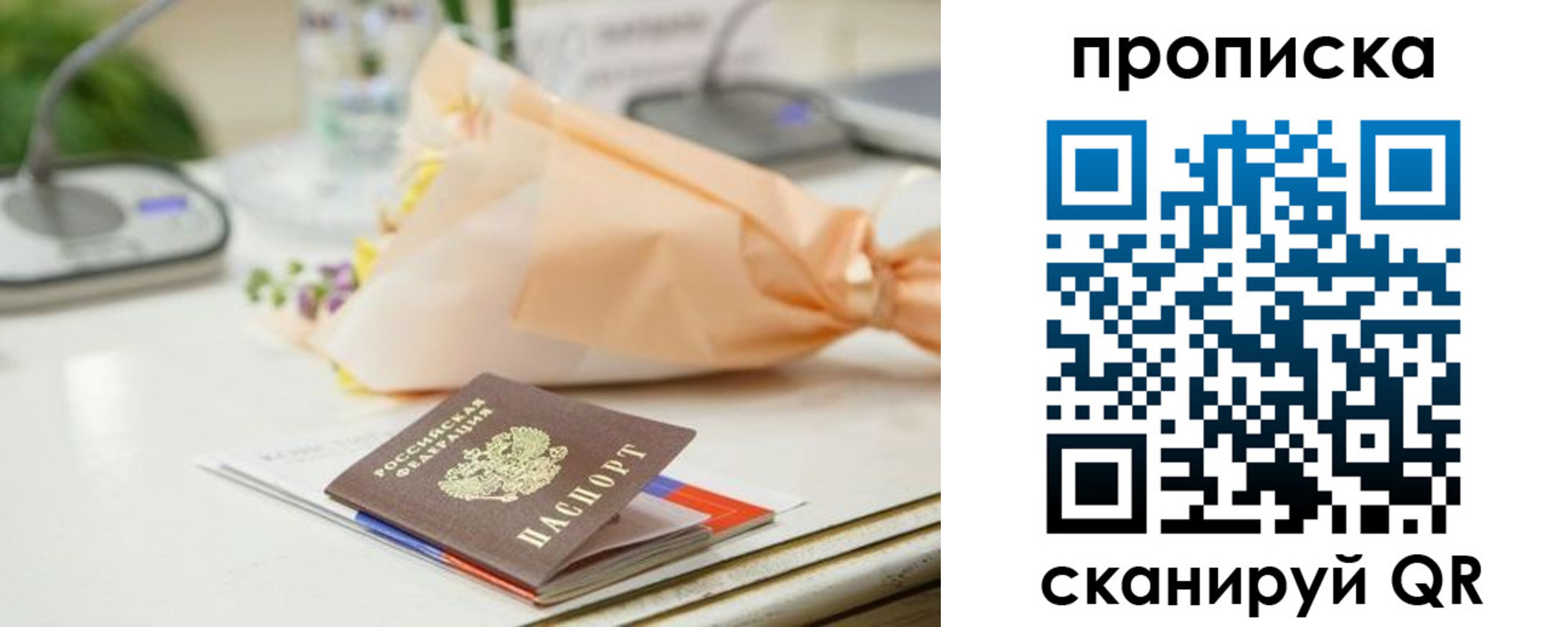 прописка в Мончегорске