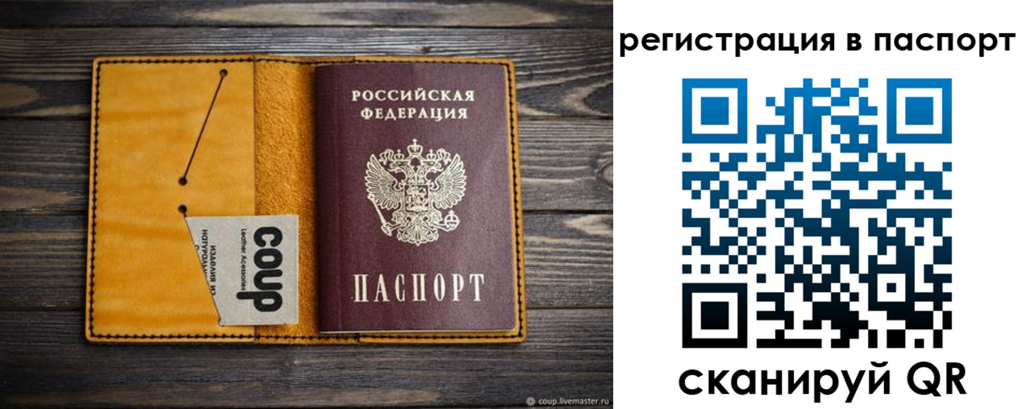 прописка ребенка в Мончегорске